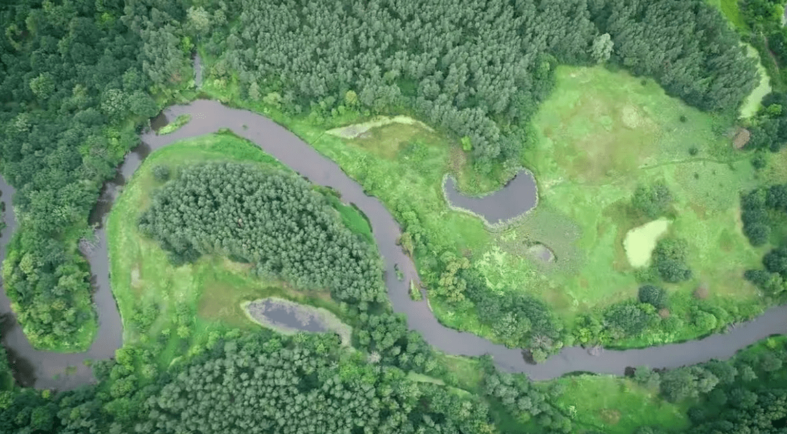 河道环保巡查